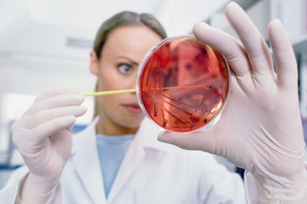 Внутрибольничные инфекции (ВБИ)